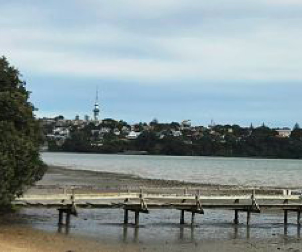 On the Hobson Bay walkway extension and Wilson’s beach and jetty – Have Your Say!