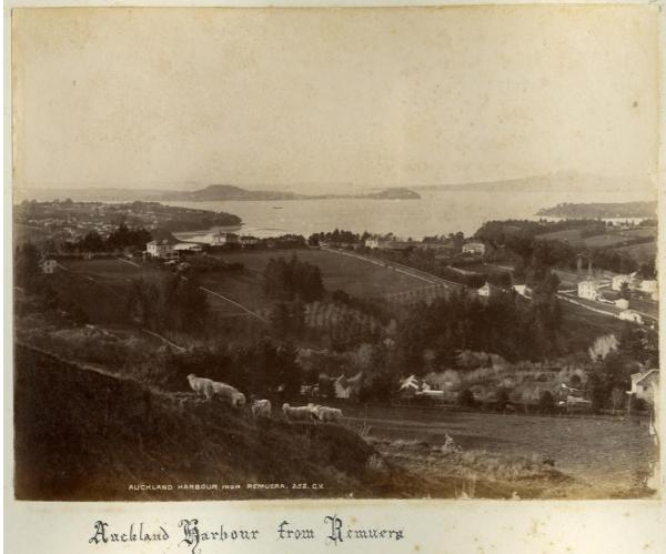 Waitemata Harbour from Mt Hobson with Remuera Road in the foreground, 1884-1889